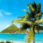 celiac travel agent review kat ward stlucia